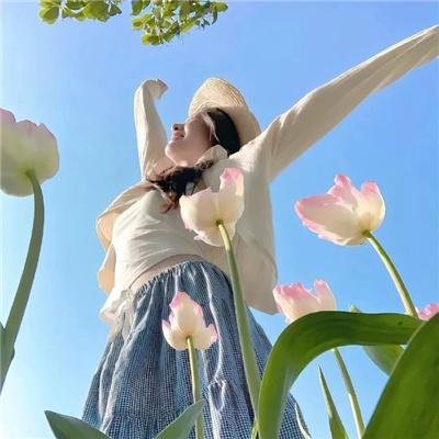 芙蓉帐暖渡春宵